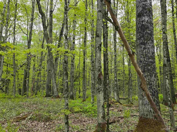 $25,000 | Lot 37 Yellow Road, Pelkie, MI 49958