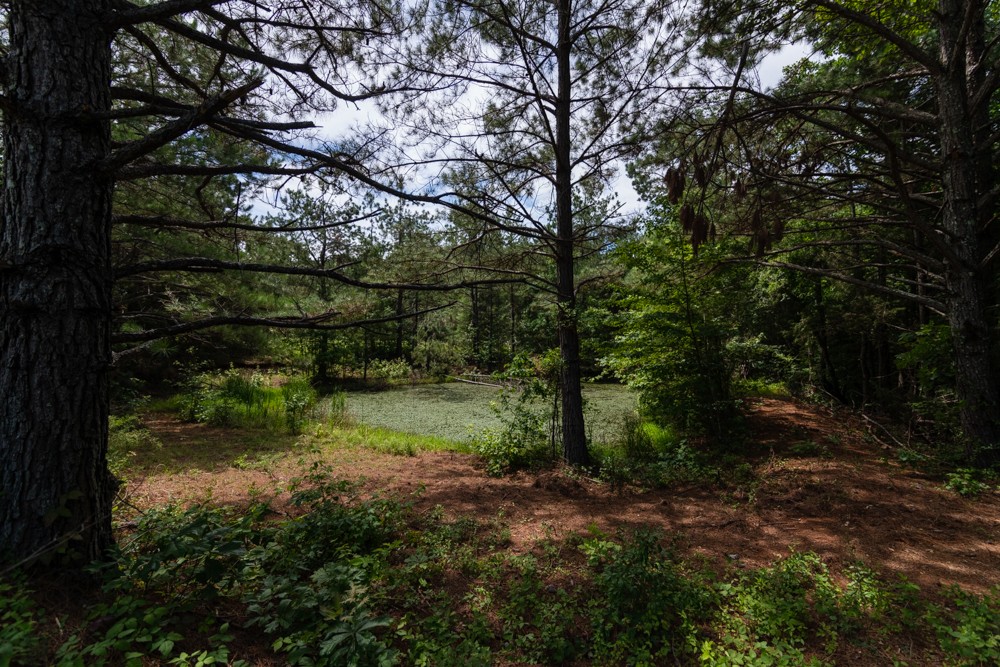 7636 Liberty Road Scotts Hill, TN 38374 - Photo 60 of 78