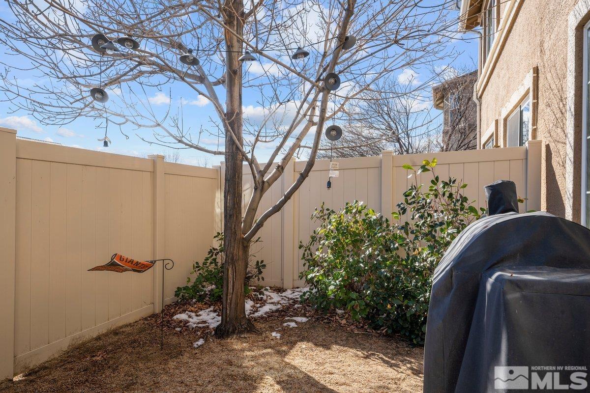 11022 Colton Drive Reno, NV 89521 - Photo 24 of 26 a view of backyard with plants and trees