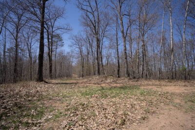 Xxx East Beauregard Lake Road Gordon, WI 54838 - Photo 22 of 35