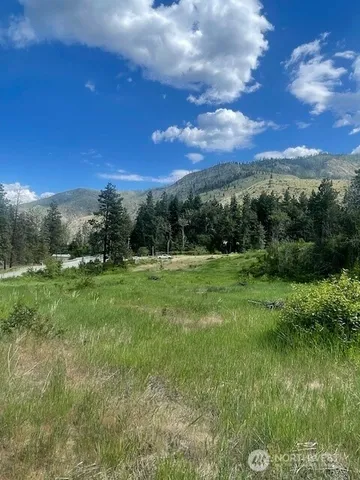 a view of a green yard with a house in the background