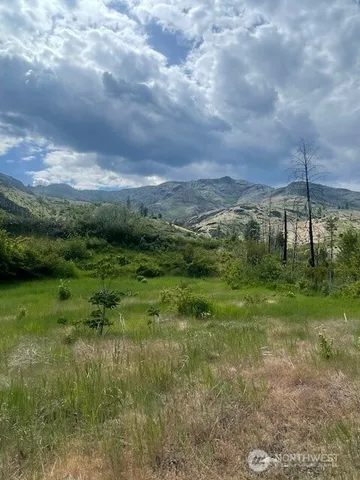 a view of a green field with an trees