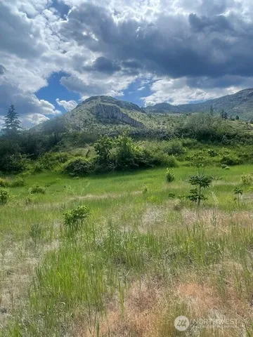 a view of an outdoor space and a yard