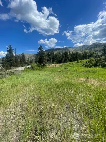 a view of a green field with mountains in the background