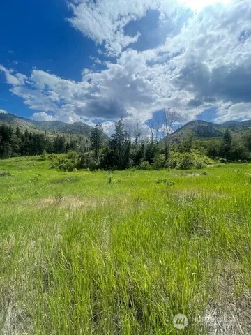 a view of an outdoor space and a yard