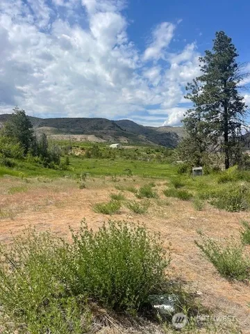 a view of an outdoor space and a yard