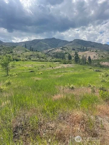 a view of an ocean and beach