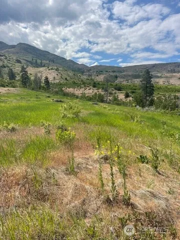 a view of a big yard with lots of green space