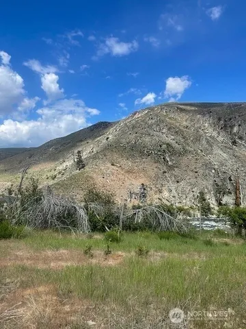 a view of a yard with a house in the background