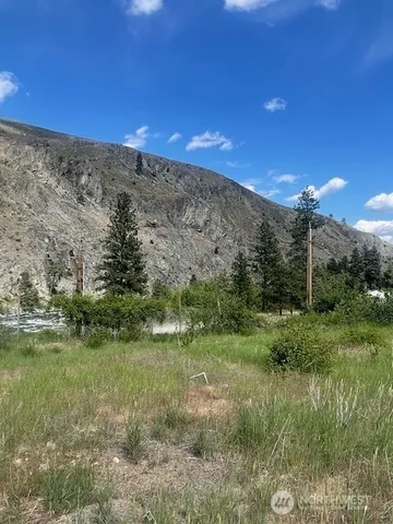 a view of a yard with a tree