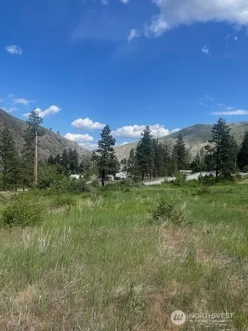 a view of a grassy field with trees in the background