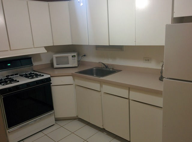 253 East Delaware Place, Unit 7E Chicago, IL 60611 - Photo 2 of 20