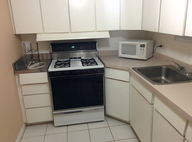 253 East Delaware Place, Unit 7E Chicago, IL 60611 - Photo 3 of 20