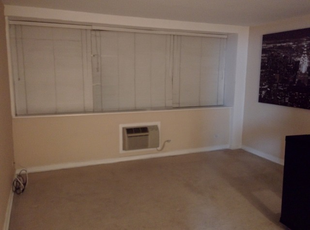 253 East Delaware Place, Unit 7E Chicago, IL 60611 - Photo 4 of 20