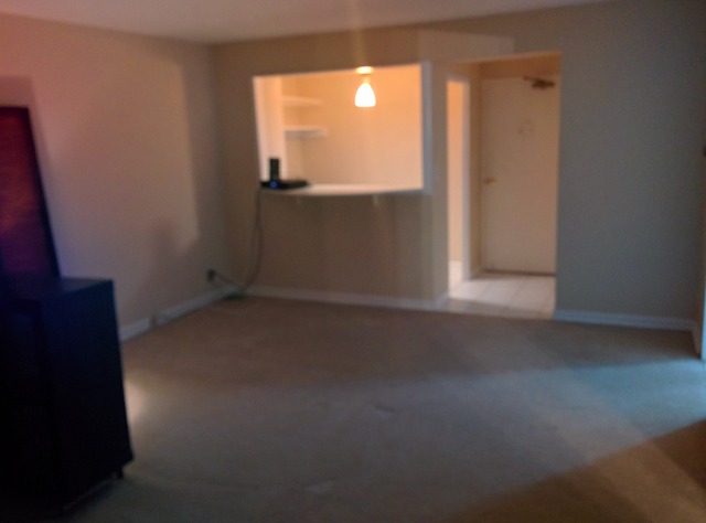 253 East Delaware Place, Unit 7E Chicago, IL 60611 - Photo 6 of 20