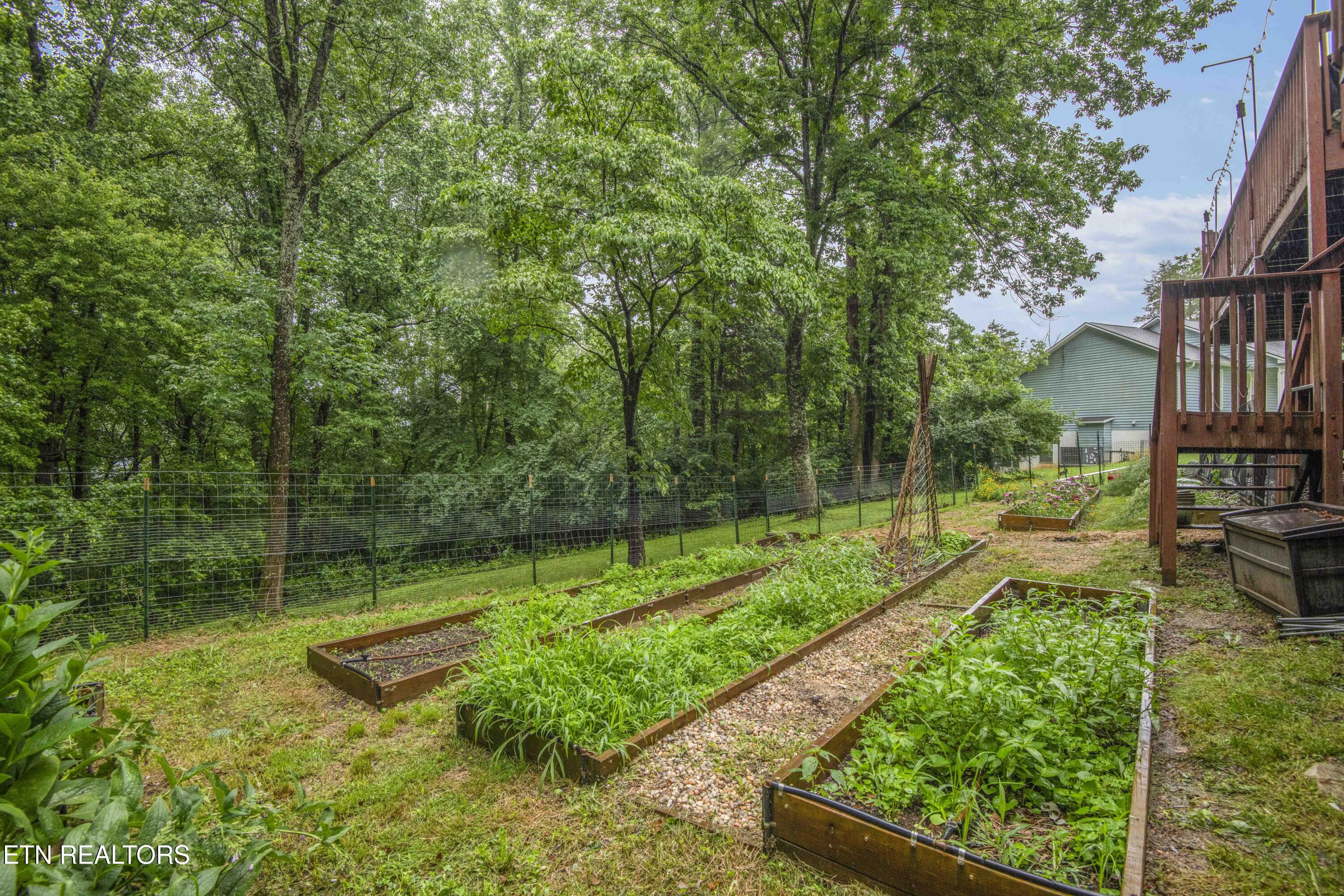 106 Tamara Lane Oak Ridge, TN 37830 - Photo 54 of 54 yard_1