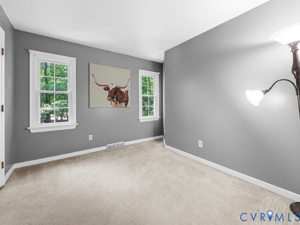 3100 Three Bridge Road Powhatan, VA 23139 - Photo 29 of 38