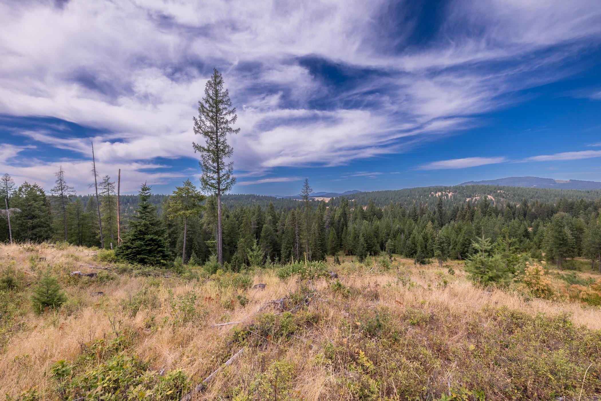 110-xx East Bridges Road Elk, WA 99009 - Photo 18 of 24