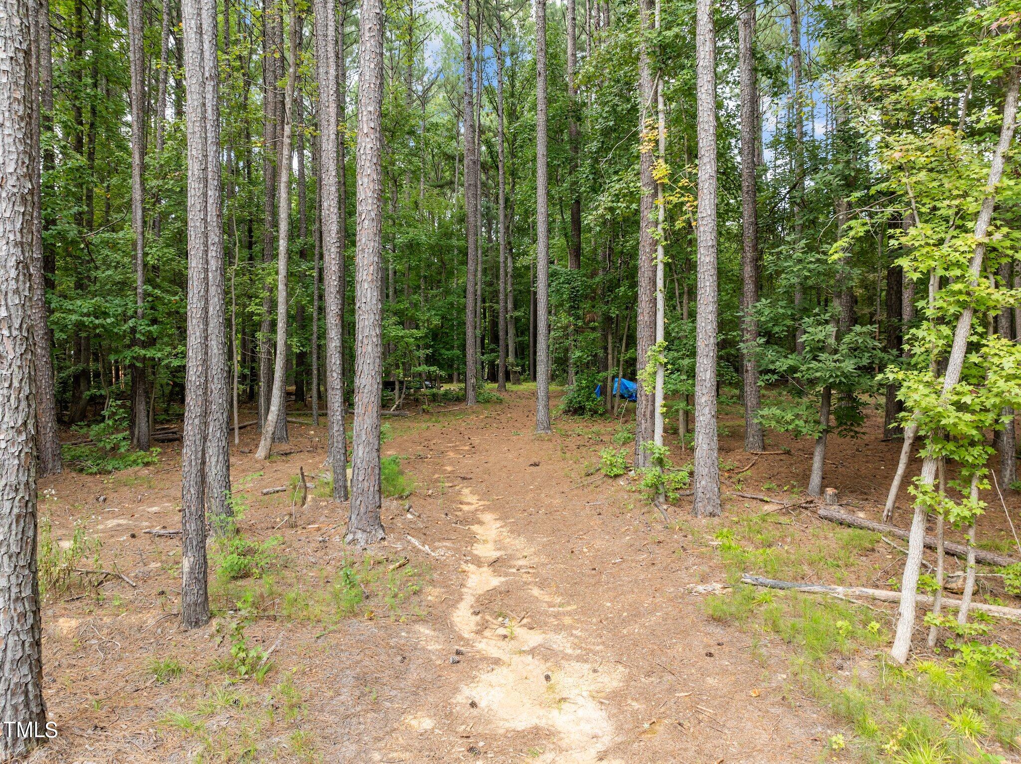 6118 Sibling Pine Drive Durham, NC 27705 - Photo 37 of 40 wooded backyard