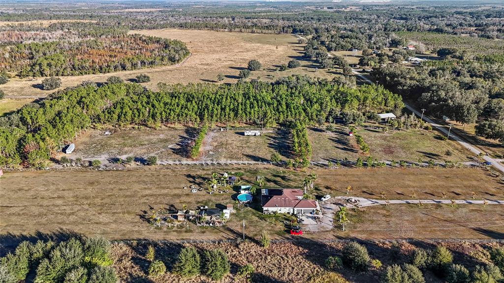 18121 Bethlehem Road Lithia, FL 33547 - Photo 6 of 13