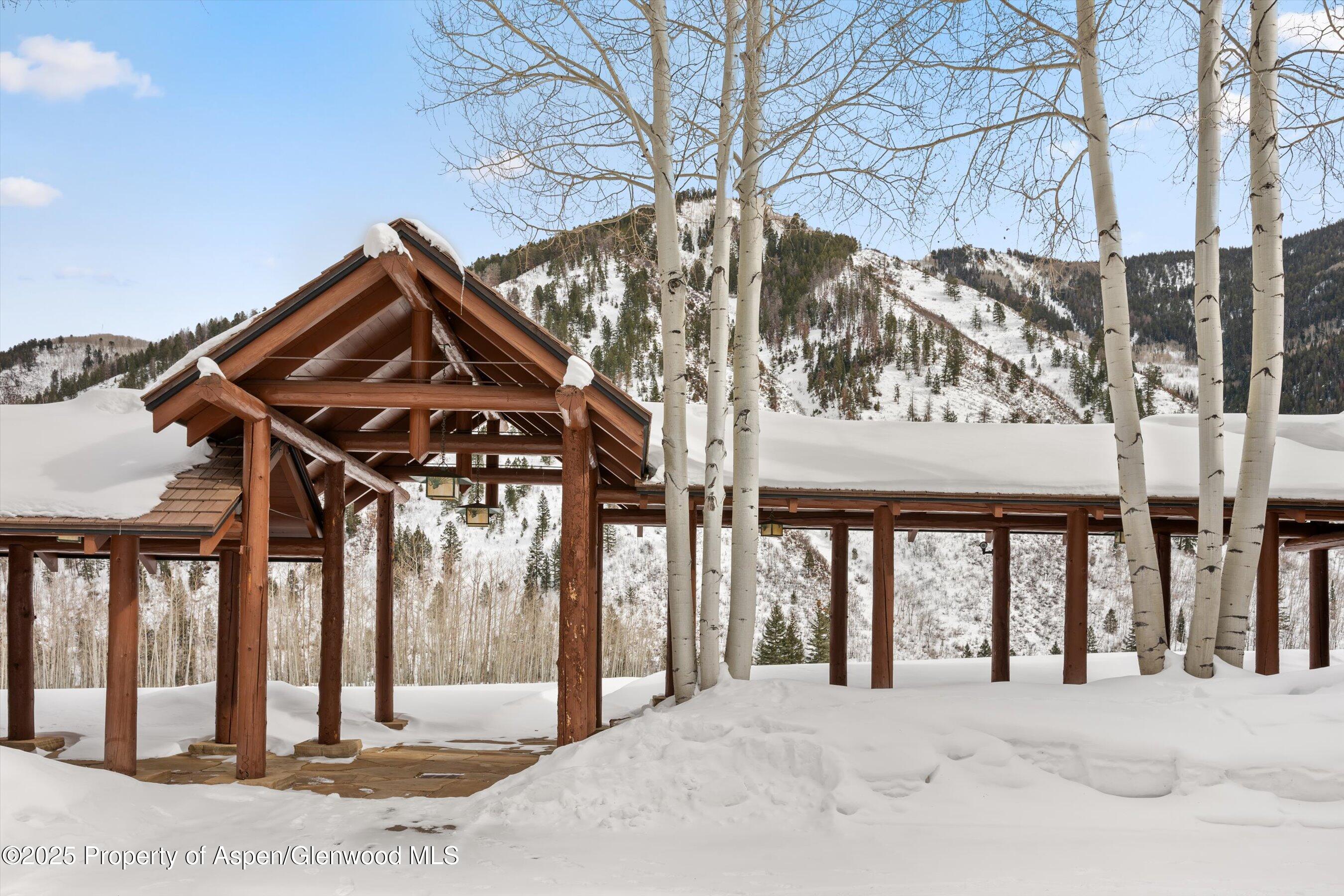 195 North Hayden Road Aspen, CO 81611 - Photo 4 of 36 08-195nHayden_25012408