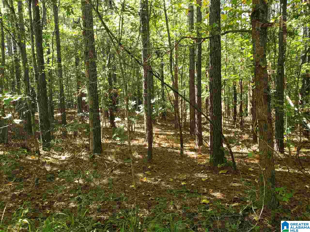 Lot 9 Redman Hall Road, Unit 1 Oneonta, AL 35121 - Photo 7 of 10