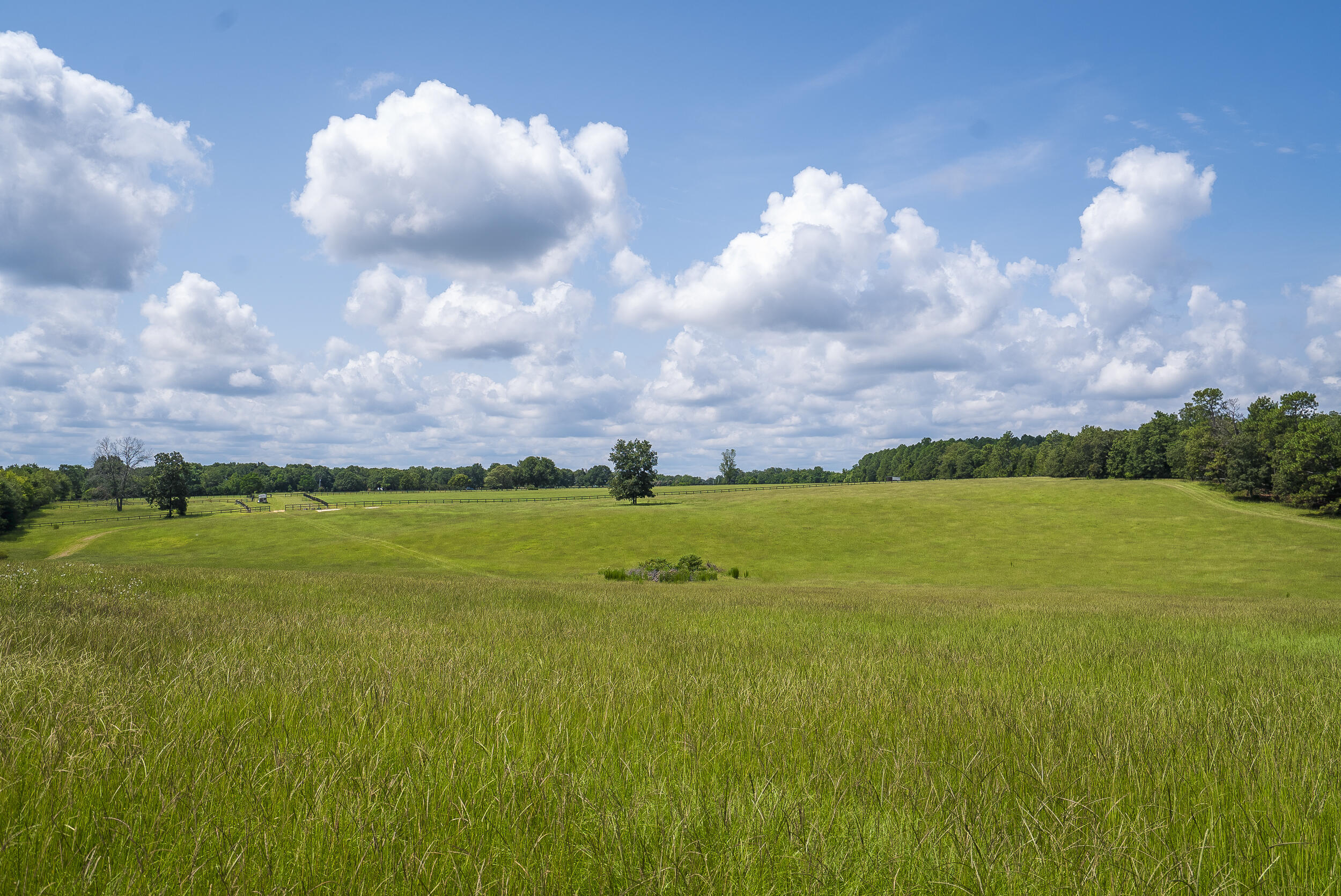 4267 Wagener Road Aiken, SC 29805 - Photo 44 of 60 Gallery Image 44