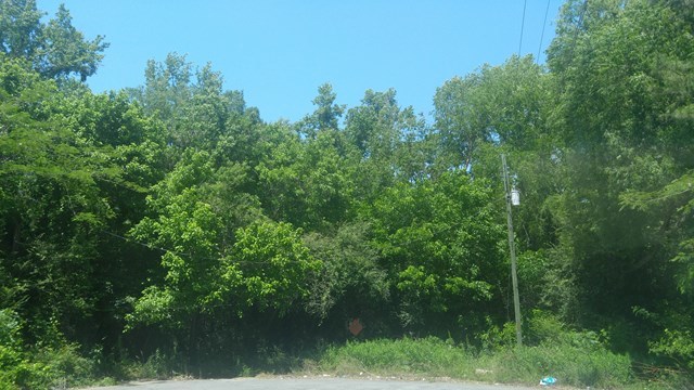261 Bass Road Macon, GA 31210 - Photo 1 of 2 a view of a green yard