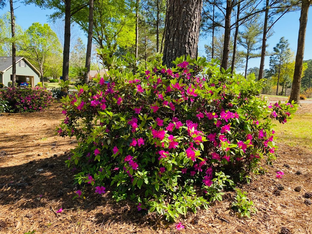 3671 McKee Road Upatoi, GA 31829 - Photo 29 of 34 Gallery Image 29