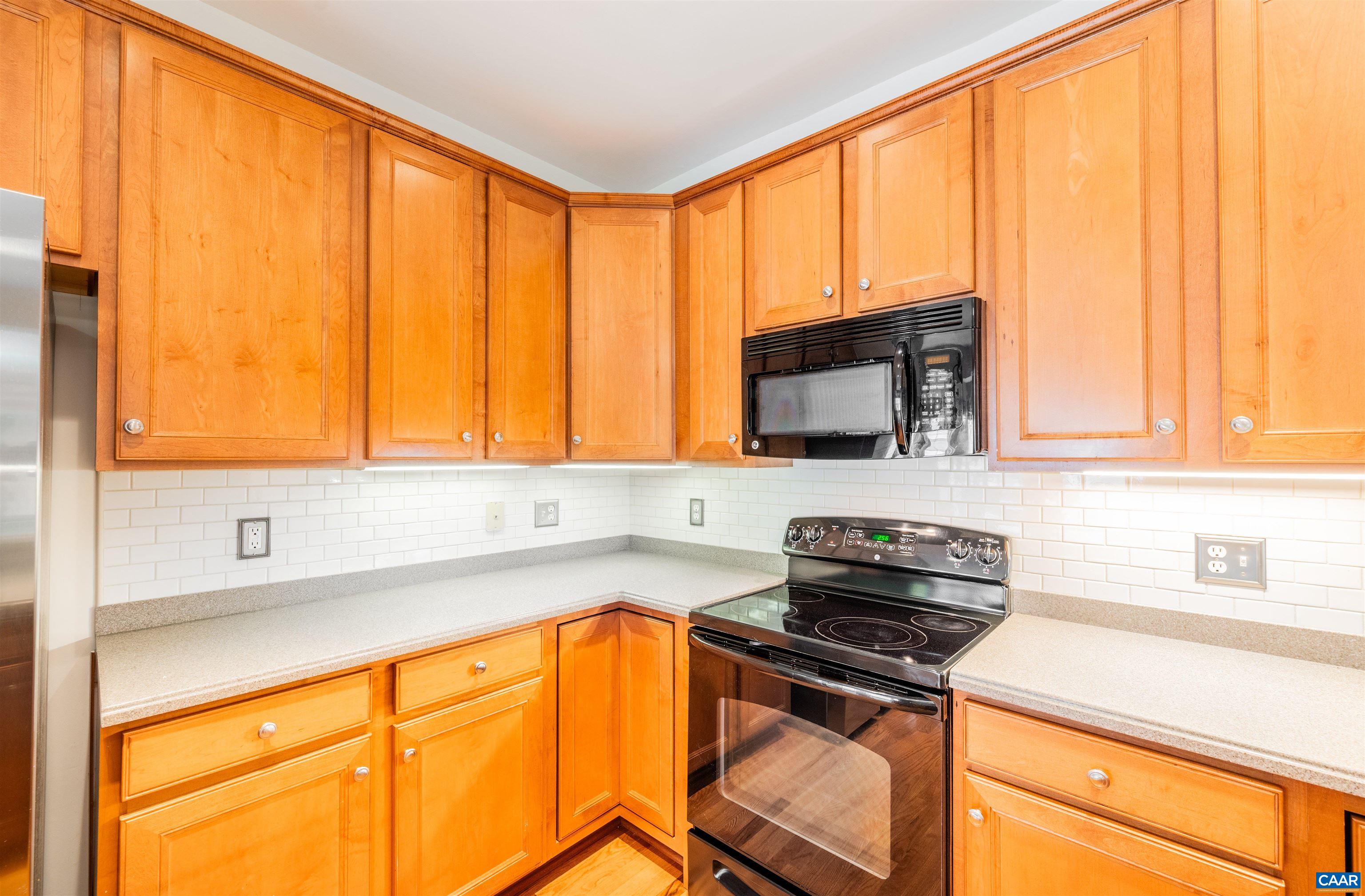 215 John Rucker Drive Ruckersville, VA 22968 - Photo 3 of 43 Gallery Image 3