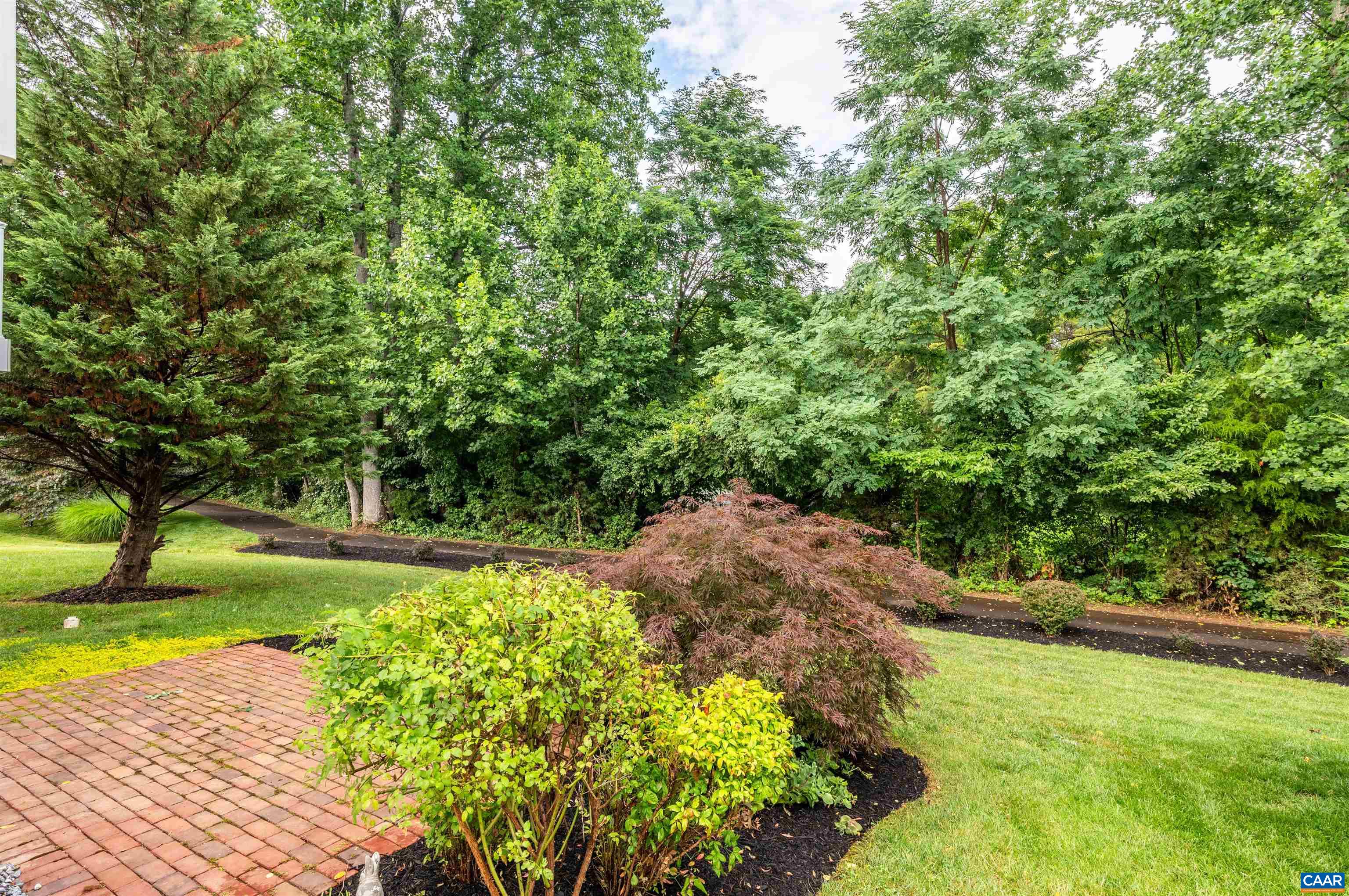 215 John Rucker Drive Ruckersville, VA 22968 - Photo 9 of 43 Gallery Image 9