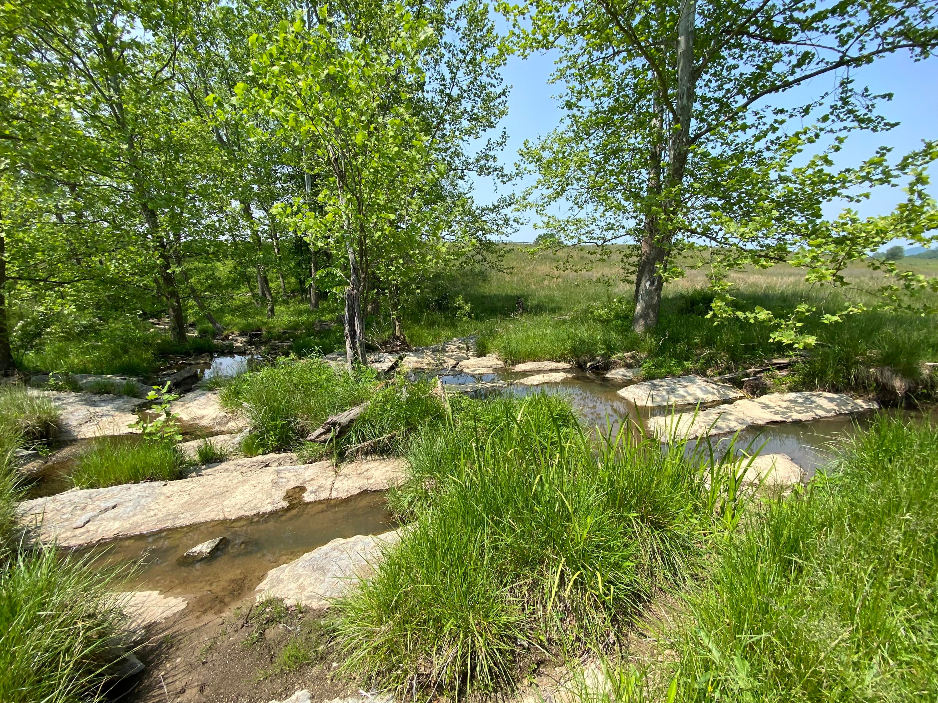 106 Creamery Road Pence Springs, WV 24962 - Photo 143 of 153 Gallery Image 143