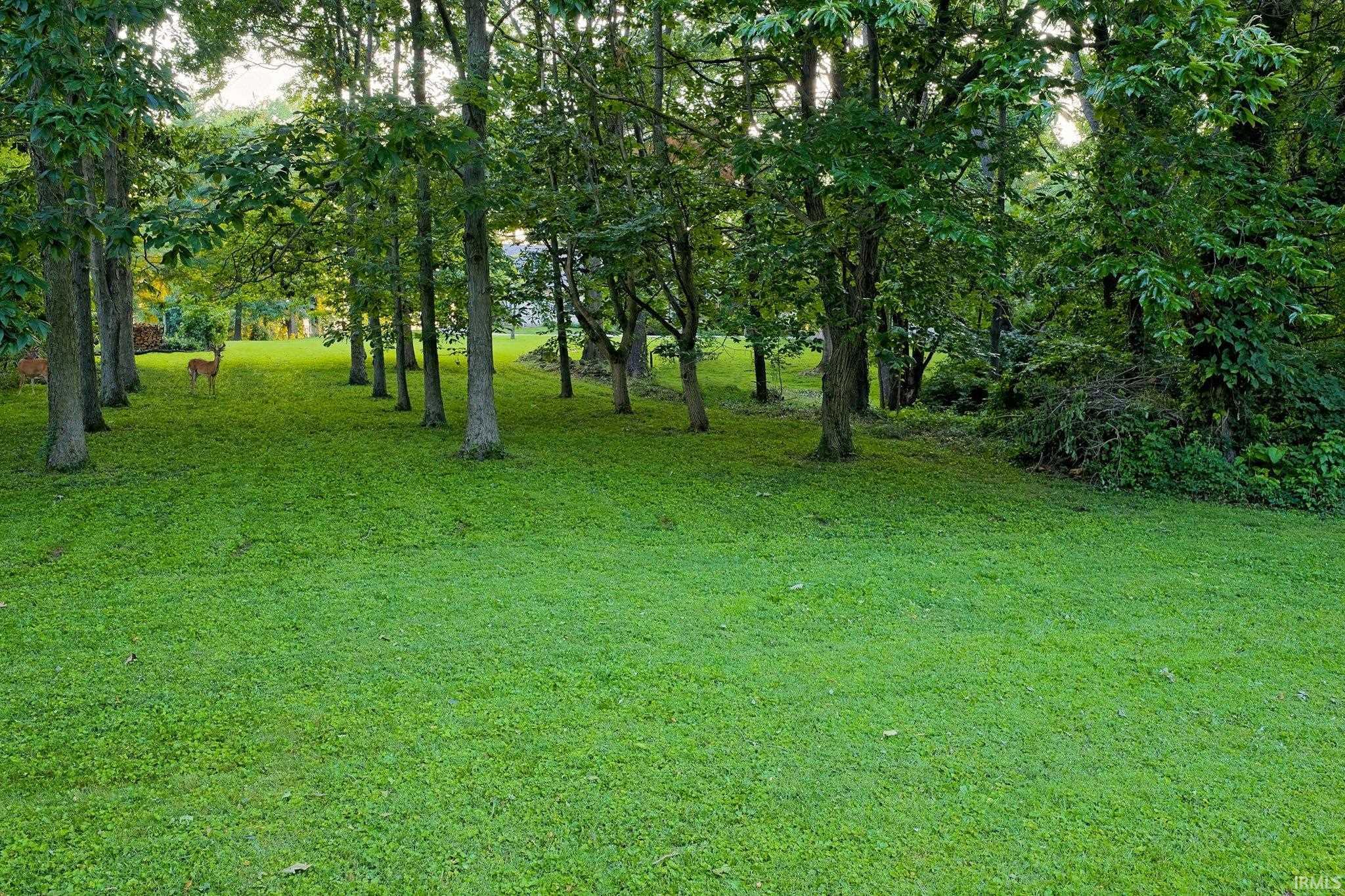 4155 South Walnut Street Bloomington, IN 47401 - Photo 9 of 35