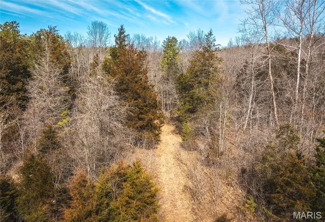 $134,900 | 1500 County Road 215, Black, MO 63625