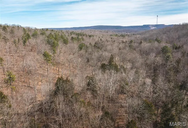 $134,900 | 1500 County Road 215, Black, MO 63625