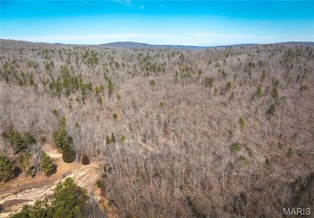 $134,900 | 1500 County Road 215, Black, MO 63625