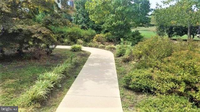 703 Childs Point Road Annapolis, MD 21401 - Photo 5 of 19 Gallery Image 5
