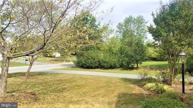 703 Childs Point Road Annapolis, MD 21401 - Photo 6 of 19 Gallery Image 6