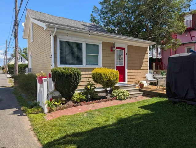 a view of a backyard with potted plants and a large tree