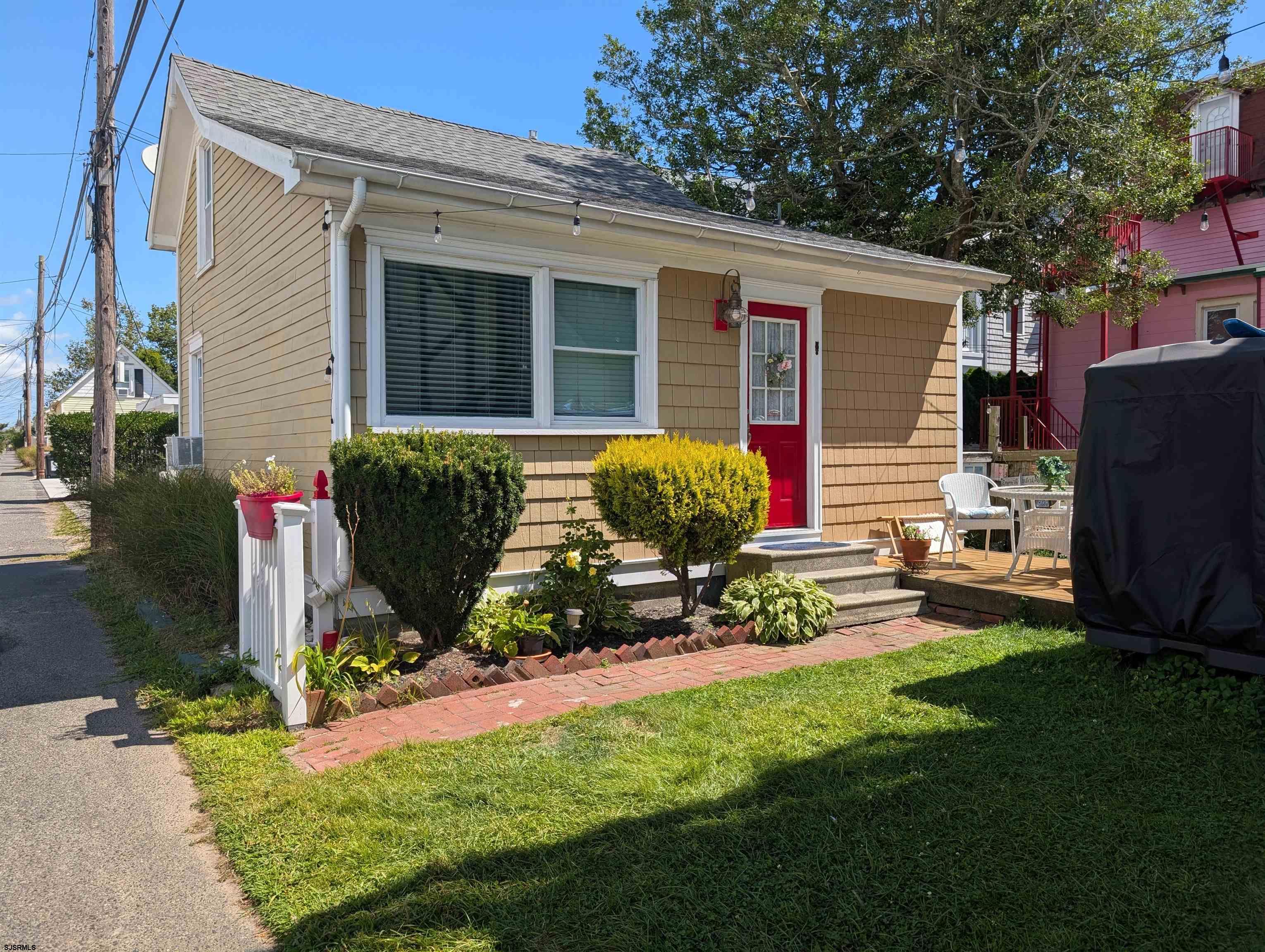 a view of a backyard with potted plants and a large tree