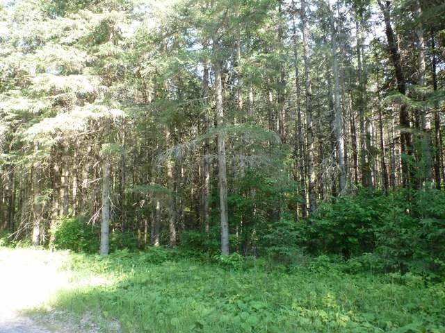 Lot 28 Lake Mildred Road Rhinelander, WI 54501 - Photo 2 of 6 Gallery Image 2