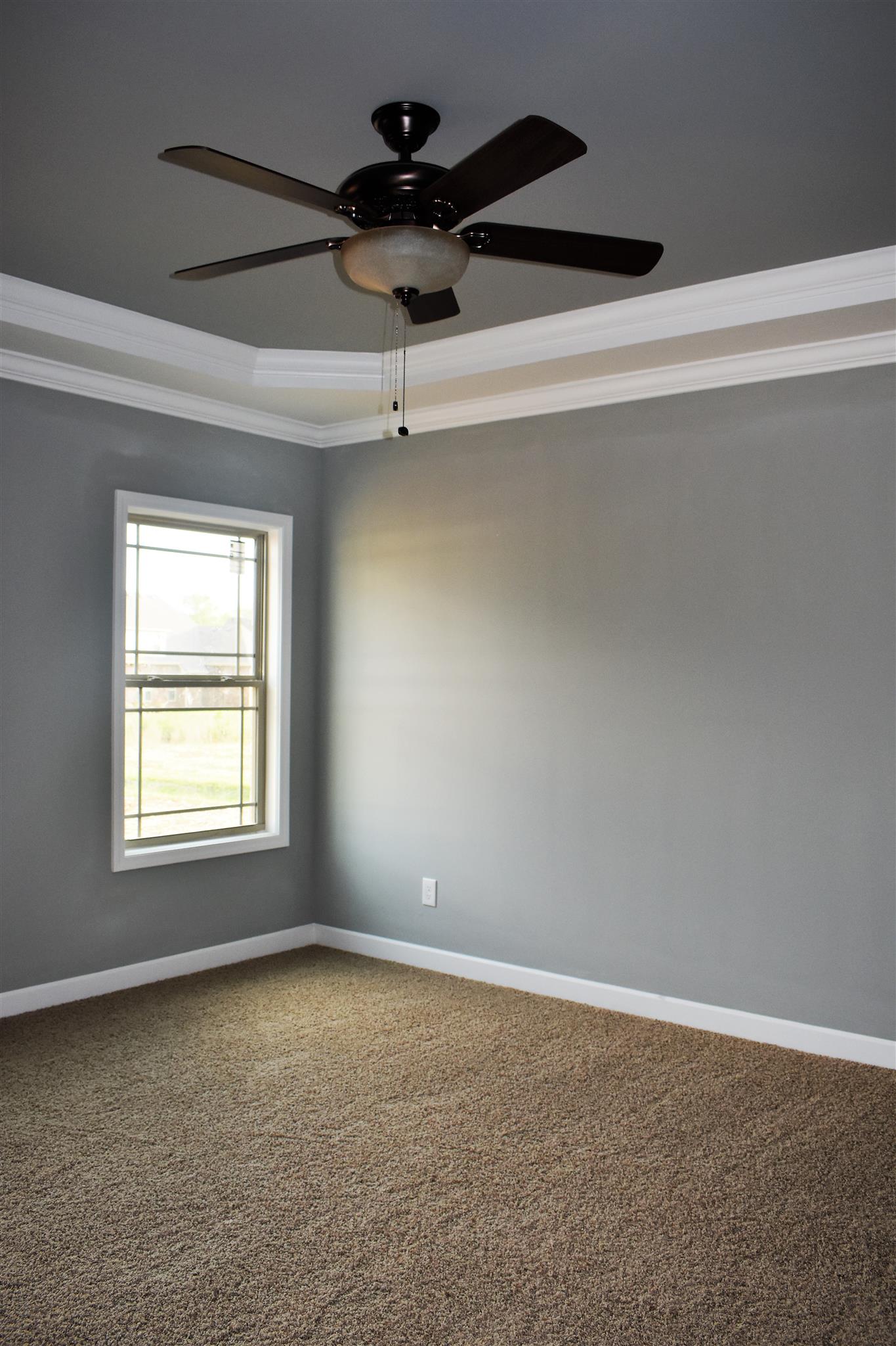 216 Amazonway Ridge Lascassas, TN 37085 - Photo 9 of 17 Gallery Image 9