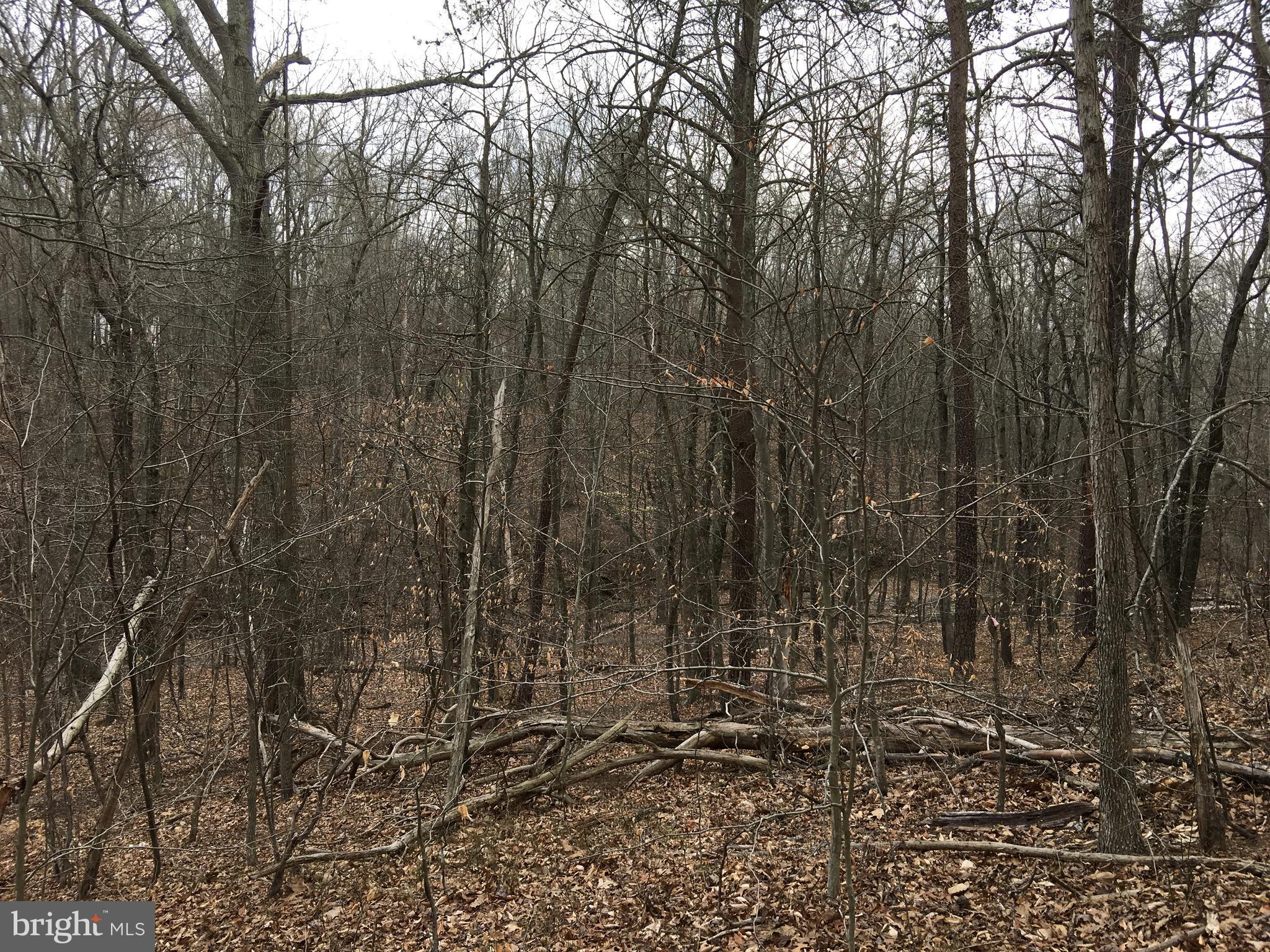 Vaught Front Royal, VA 22630 - Photo 2 of 7 Exterior (General)