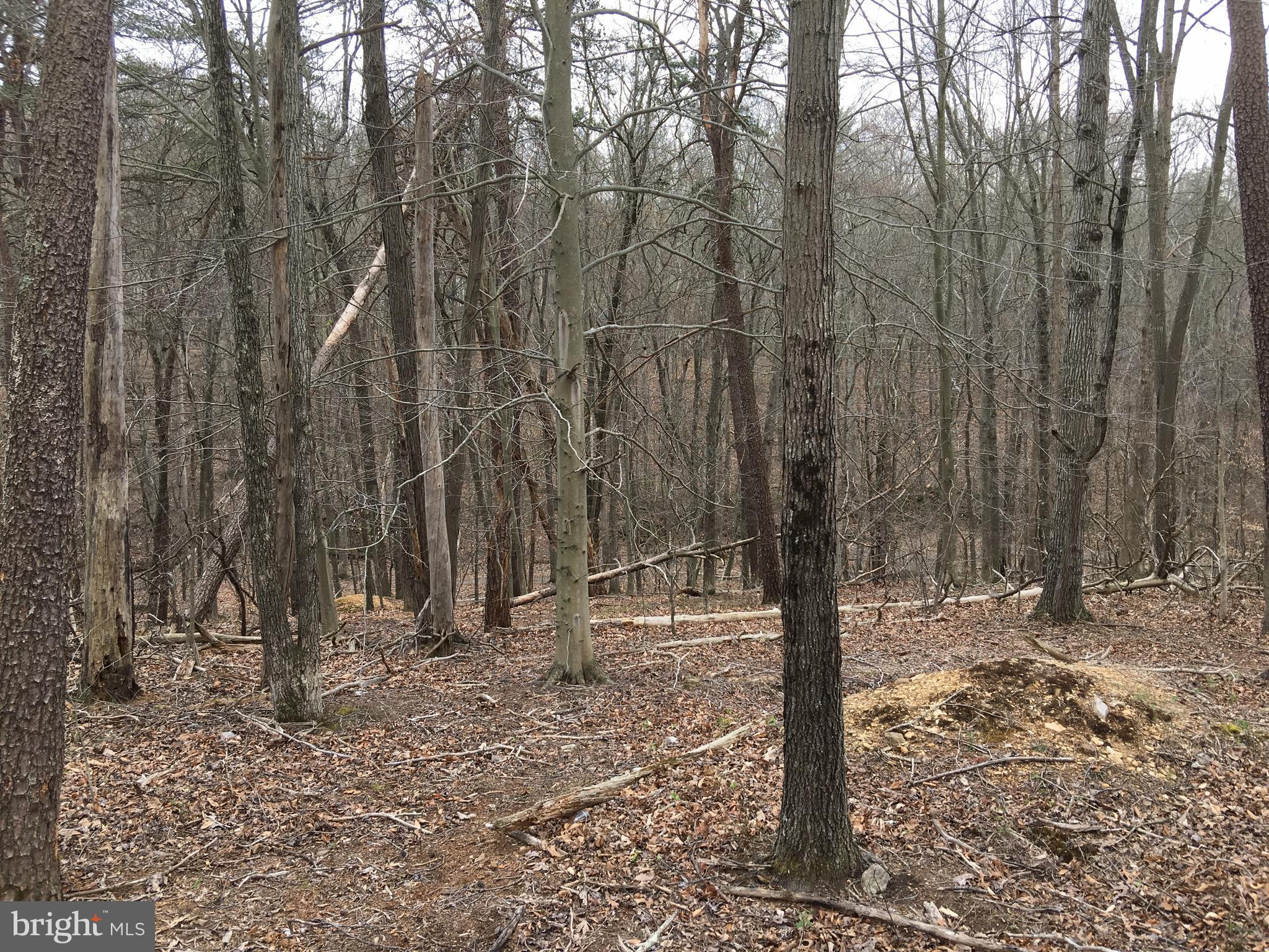 Vaught Front Royal, VA 22630 - Photo 3 of 7 Exterior (General)