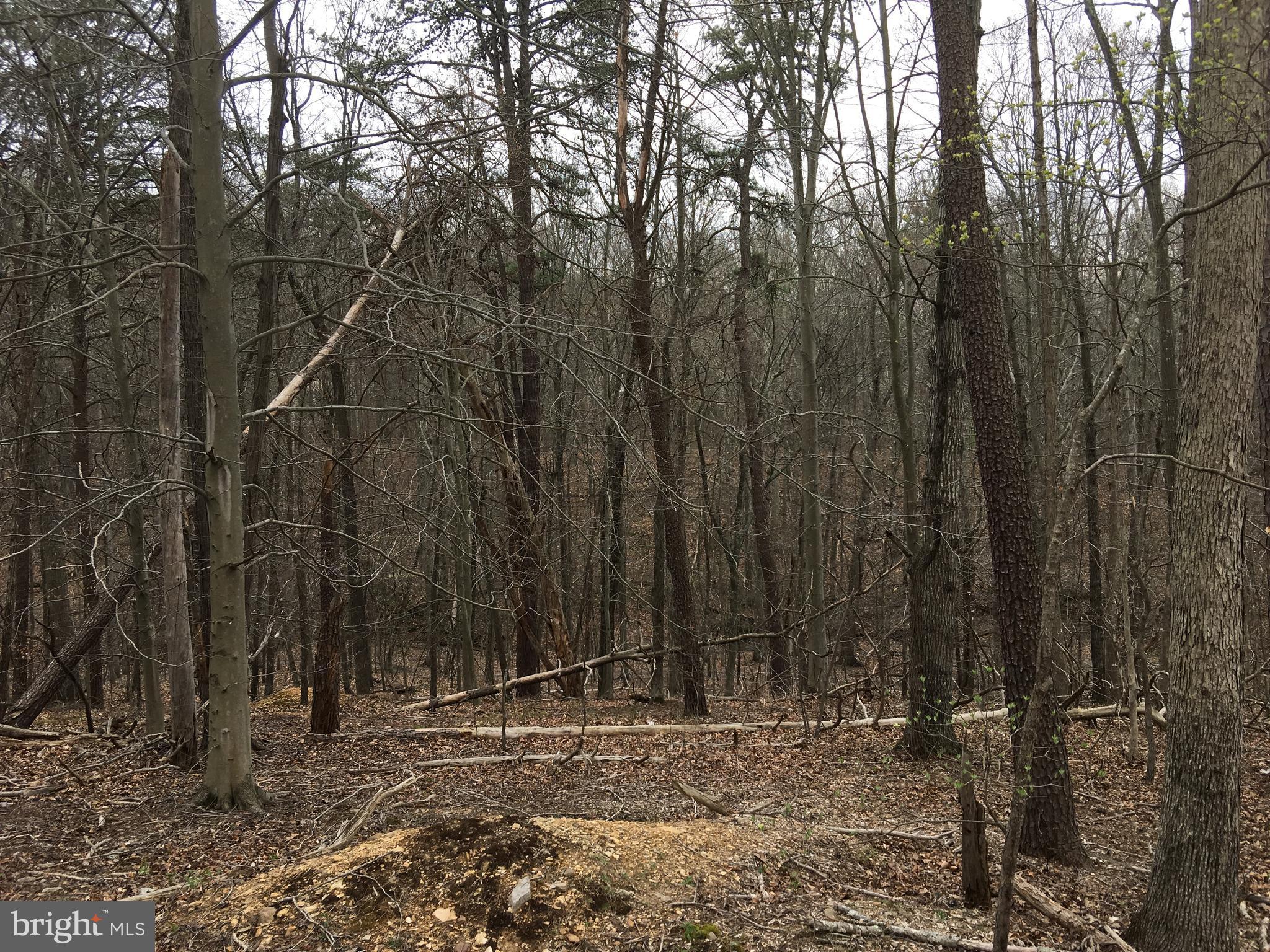 Vaught Front Royal, VA 22630 - Photo 4 of 7 Exterior (General)