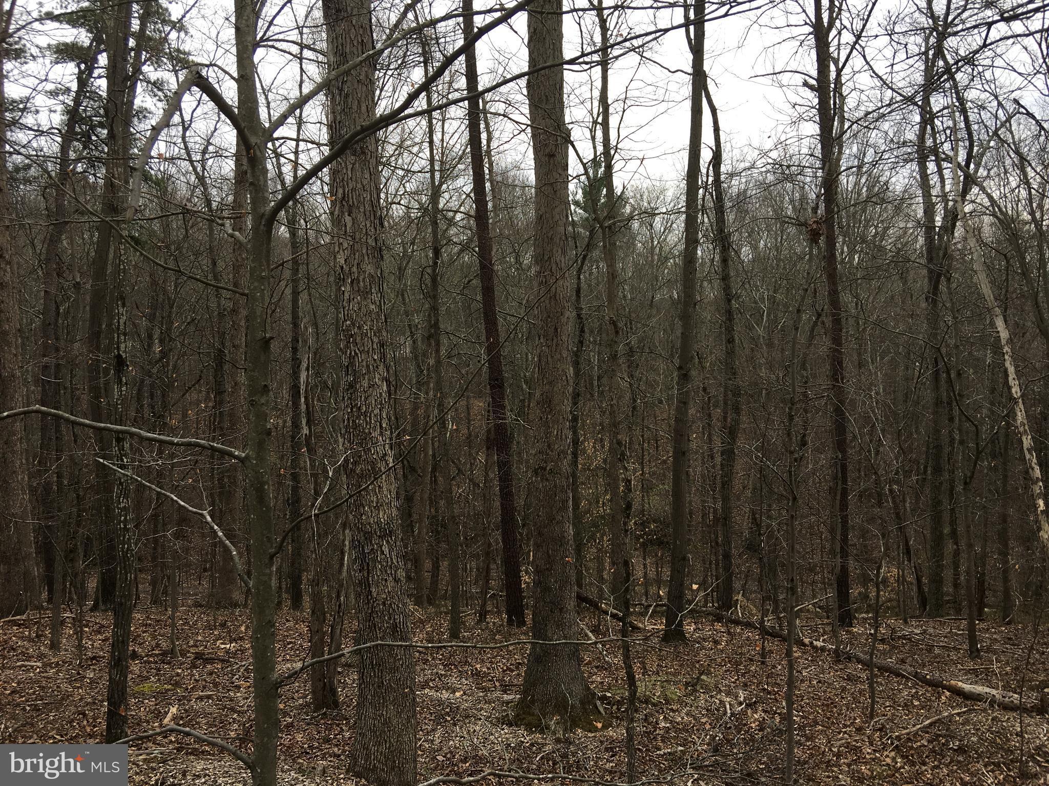 Vaught Front Royal, VA 22630 - Photo 5 of 7 Exterior (General)