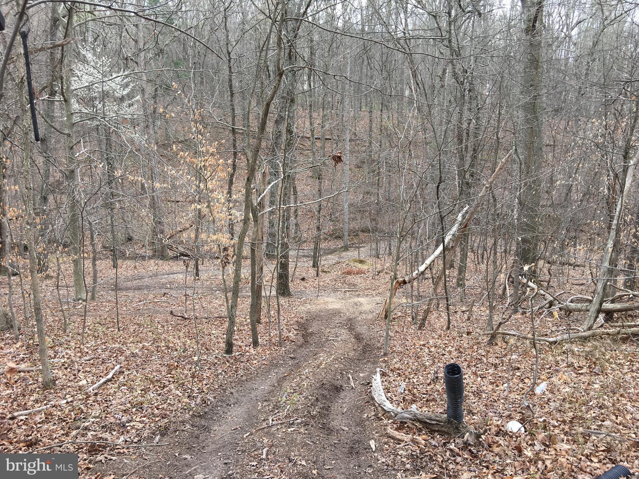 Vaught Front Royal, VA 22630 - Photo 6 of 7 Exterior (General)