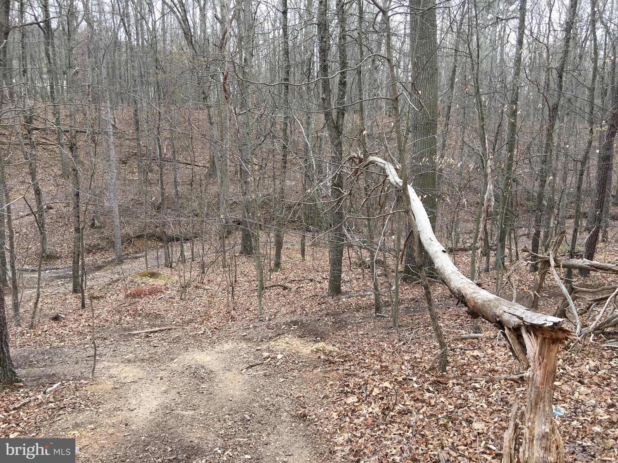 Vaught Front Royal, VA 22630 - Photo 7 of 7 Exterior (General)