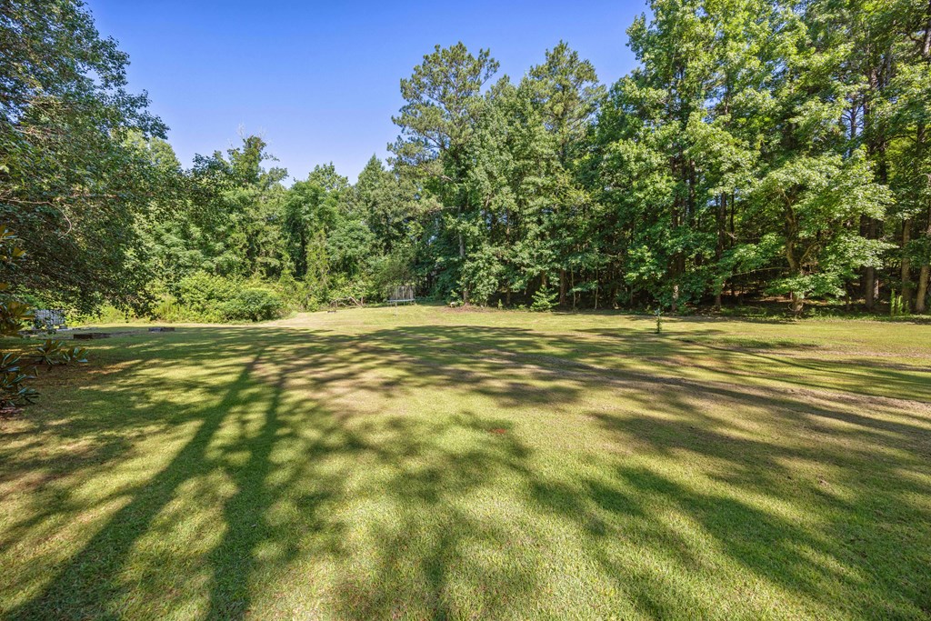 8100 Warm Springs Road Midland, GA 31820 - Photo 3 of 75 Gallery Image 3