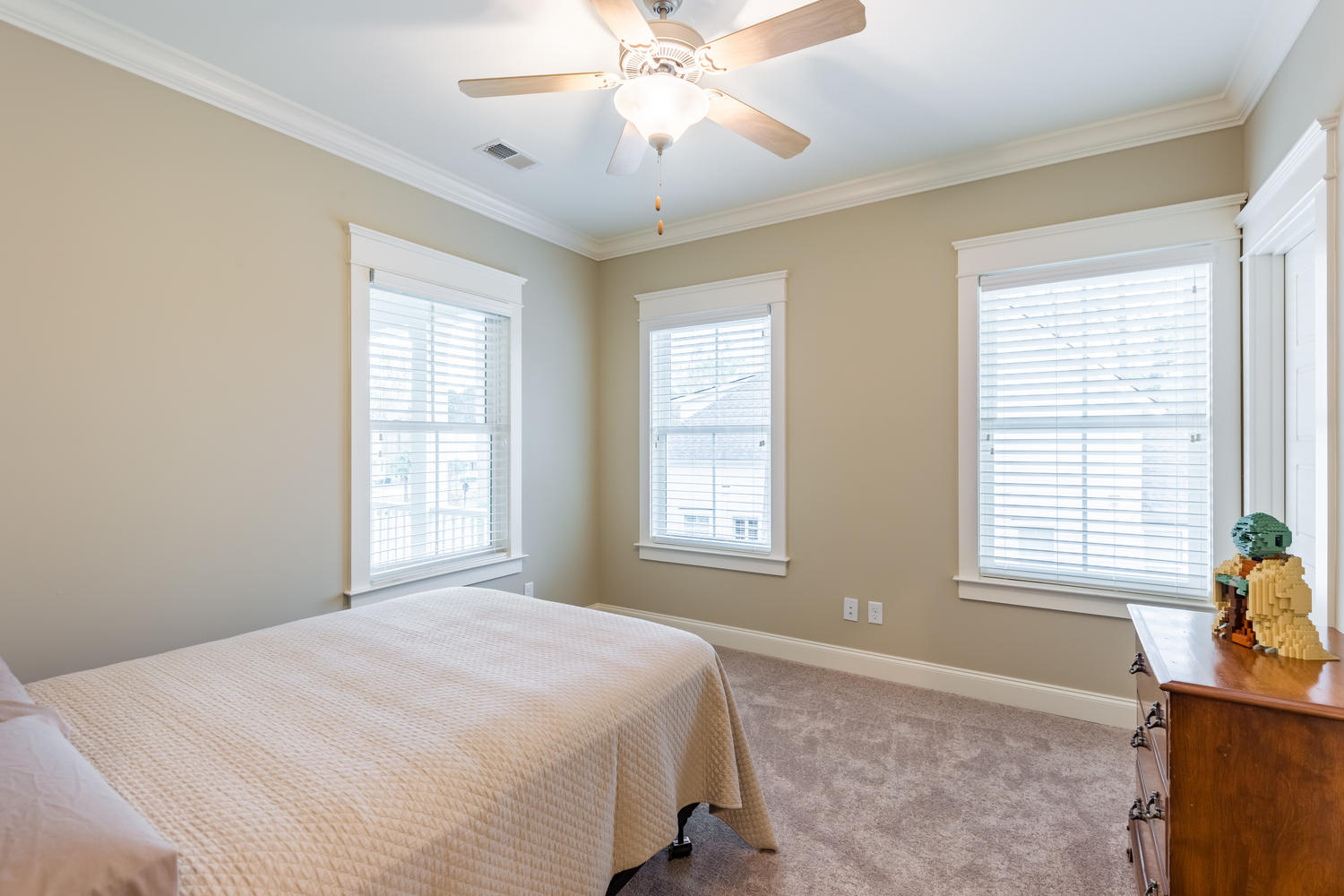 3732 Oconee Loop Mount Pleasant, SC 29466 - Photo 20 of 27 3732 Oconee Loop Mount-023-20-IMG 2926HD
